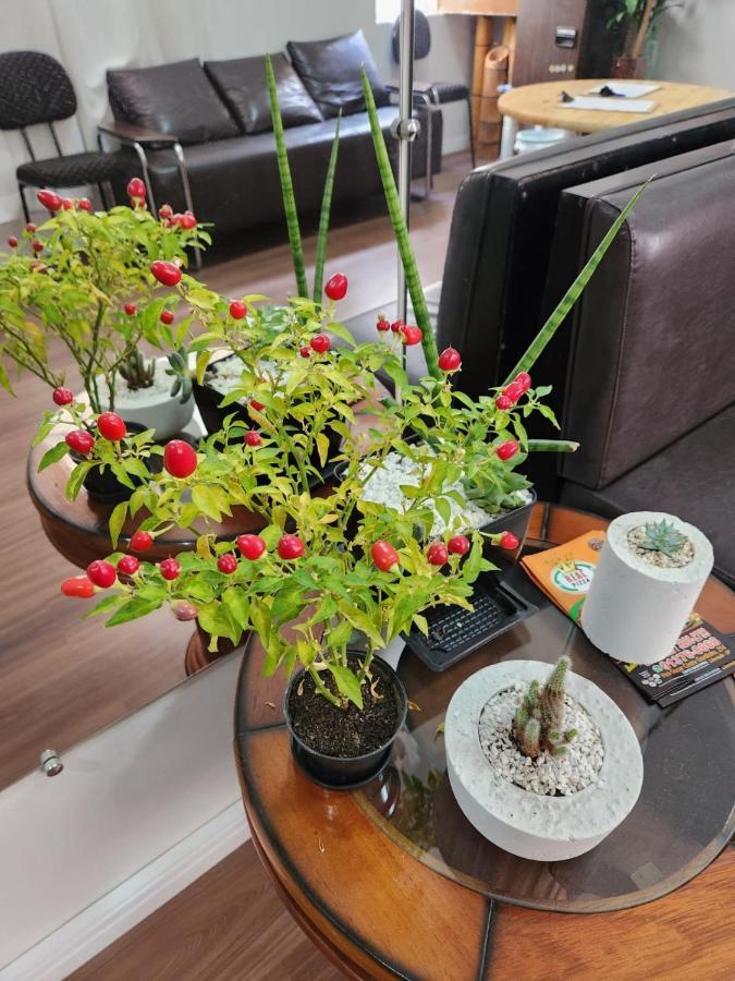 Fujima Hostel Сао Паоло Екстериор снимка